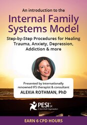 An introduction to the Internal Family Systems Model: Step-by Step Procedures for Healing Trauma, Anxiety, Depression, Addiction & more 1