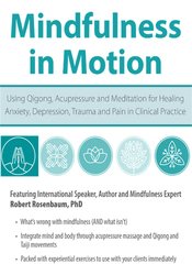 Mindfulness in Motion: Using Qigong, Acupressure and Meditation for Healing Anxiety, Depression, Trauma and Pain in Clinical Practice