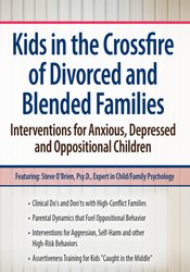 Kids in the Crossfire of Divorced & Blended Families | Psychotherapy Networker