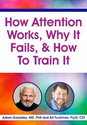 How Attention Works, Why It Fails, & How To Train It 1