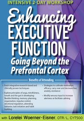 Intensive 2-Day Workshop: Enhancing Executive Function: Going Beyond the Prefrontal Cortex