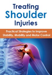 Treating Shoulder Injuries: Practical Strategies to Improve Stability ...