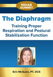 The Diaphragm: Training Proper Respiration and Postural Stabilization ...