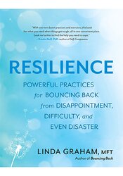 Resilience Not Found