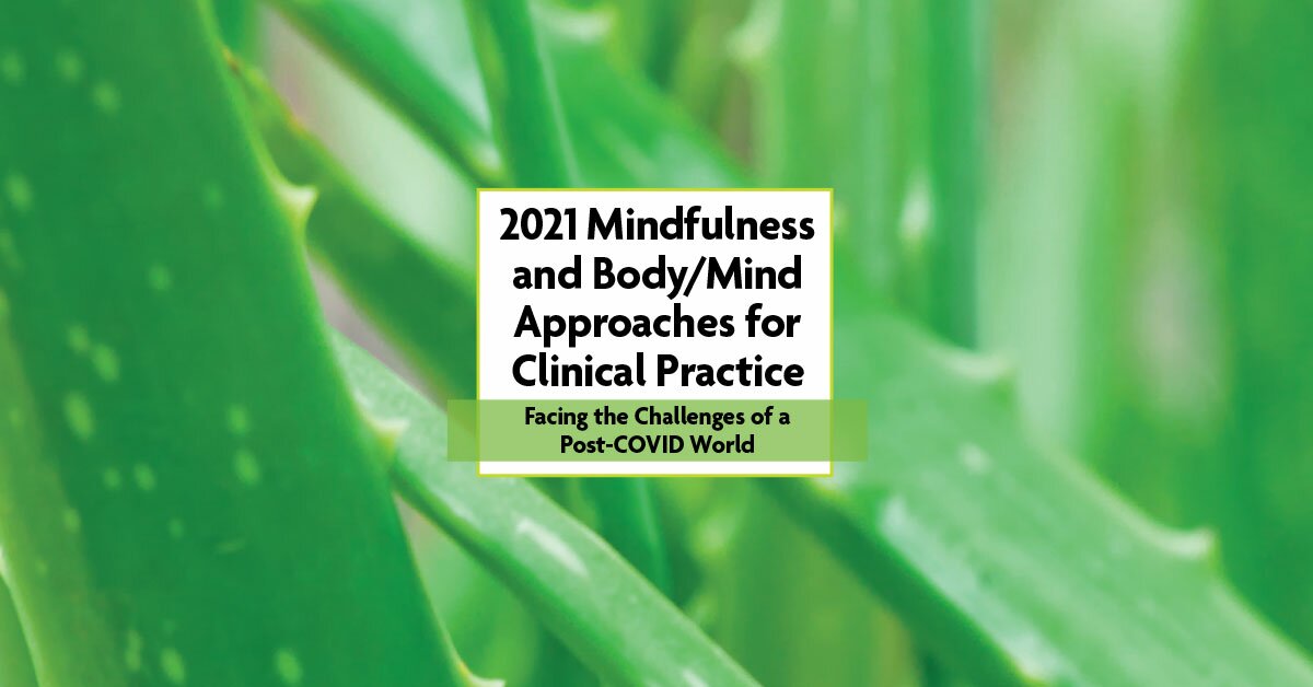 4-Day Online Retreat: 2021 Mindfulness and Body/Mind Approaches for Clinical Practice: Facing the Challenges of a Post-COVID World 2